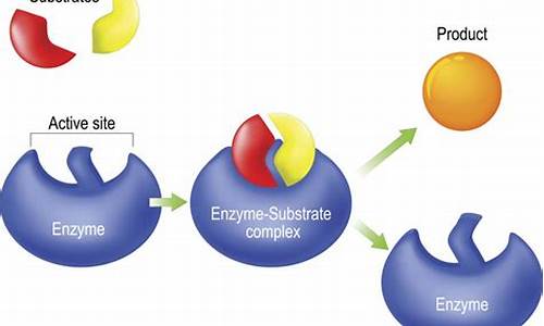 substrate 源码